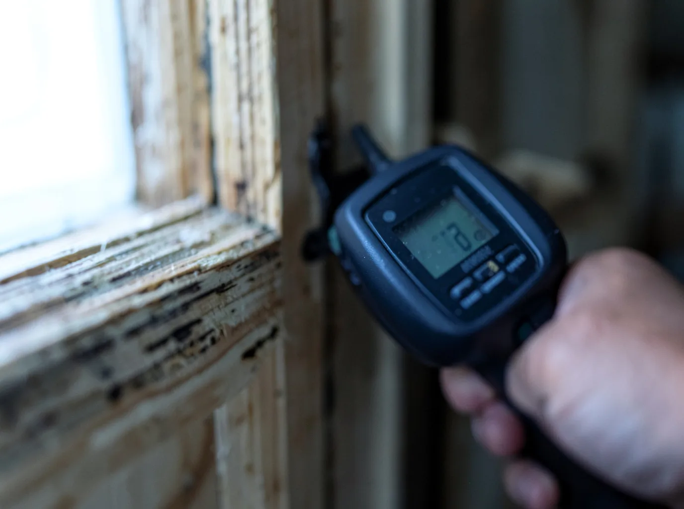 Moisture Inspection And Documentation in Ridgeway, IA